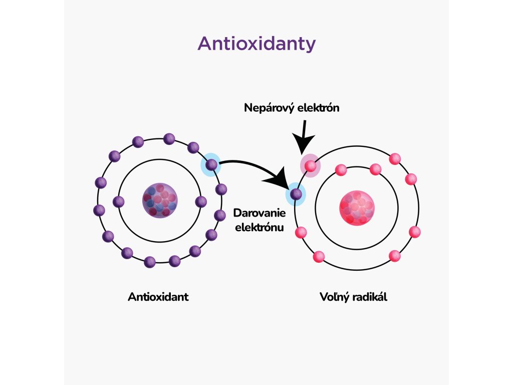 32105-9_antioxidanty-infografika-2-sk