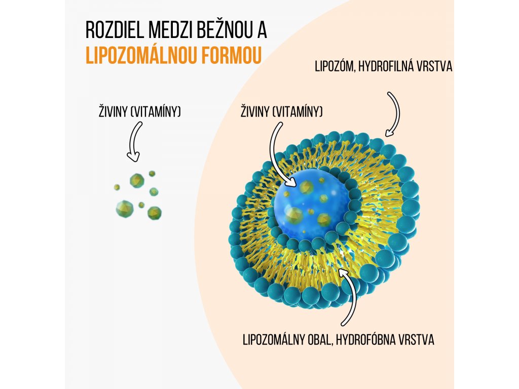 33714-13_-slovencina--lipo-vs-bezna-forma