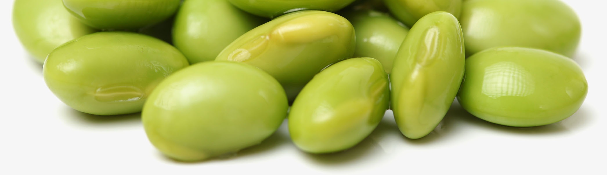 fava-fazole2