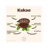 19639 1 kakao infografika brainmarket cz