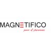 logo web magnetifico