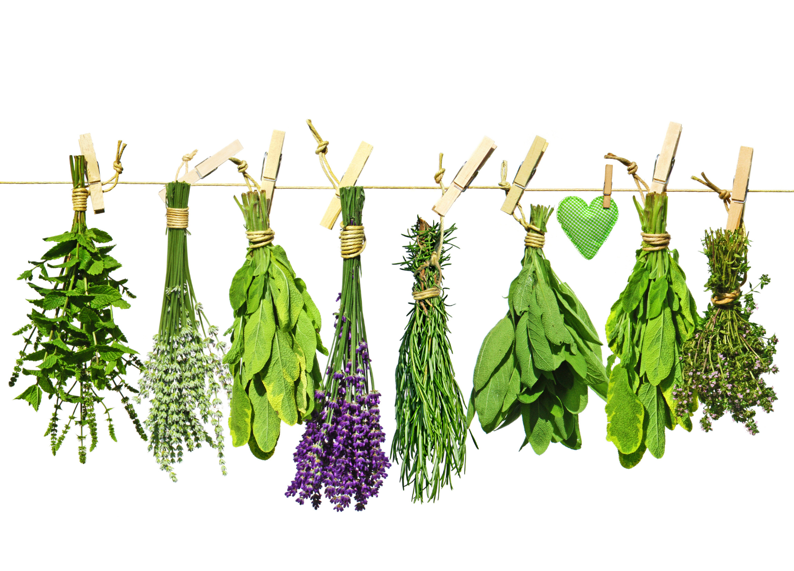 liečivé prírodné zloženie ekologické poľnohospodárstvo