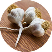 Garlic.png