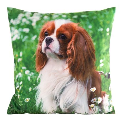 80079 zamatova obliecka na vankus s motivom zvierat 08 animal 45x45 cm