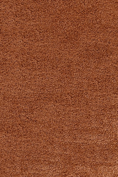 Kusový koberec Life Shaggy 1500 terra Rozmery koberca: 60x110
