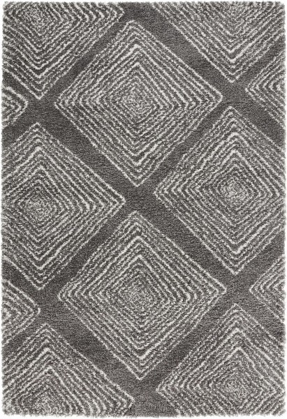 Kusový koberec Allure 102763 grau creme Rozmery koberca: 120x170