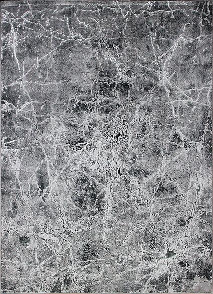 Fotografia produktu: Kusový koberec Elite 4355 Grey Rozmery kobercov: 280x370