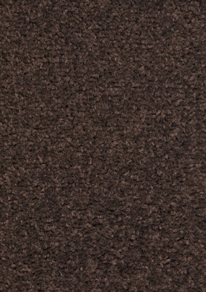 Kusový koberec Nasty 101154 Braun Rozmery koberca: 80x150