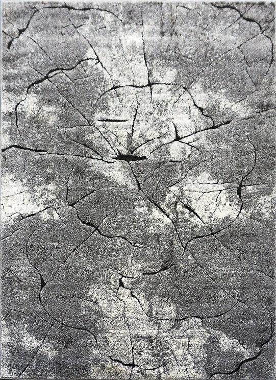 Fotografia produktu: Kusový koberec Miami 129 Grey Rozmery kobercov: 280x370