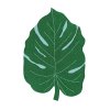 51024 rucne tkany kusovy koberec monstera leaf
