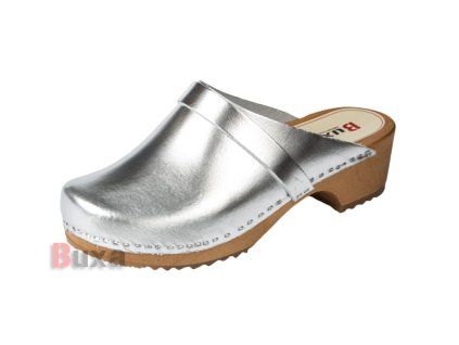 vyr 549F1 Strieborn ę 1