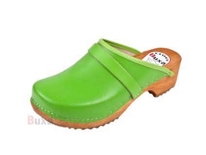 vyr 555F1 Zelen ę 1