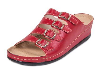 vyr 585BZ220 red 1