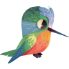 colibri