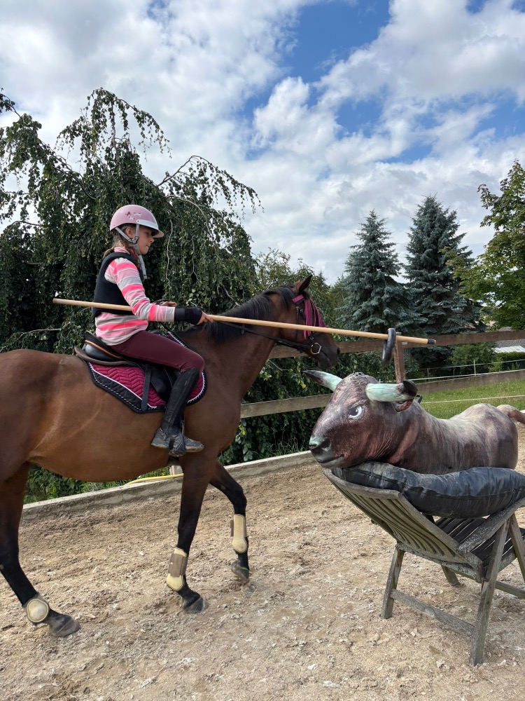 Tréninky Working Equitation