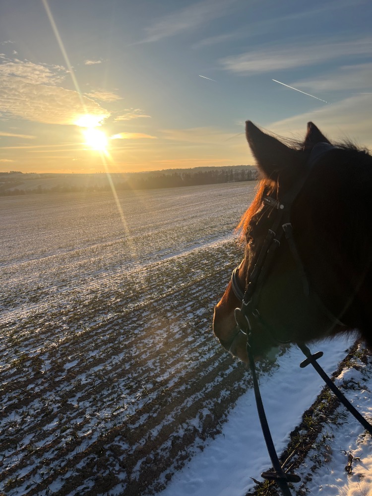 Únor a začátek druhého pololetí v Konírně