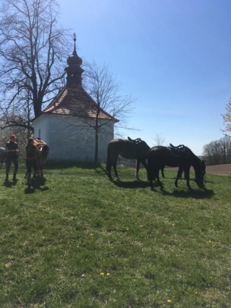 Velikonoční pobyt a novinky 