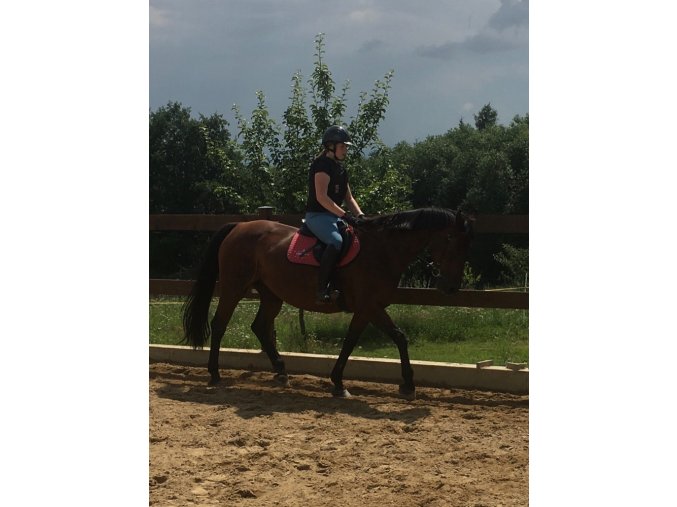 Prázdniny u koní 4. turnus  26. - 31. ČERVENEC 2026