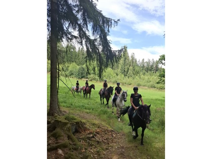 3de8c968 e844 4bd9 8861 b3289f6e9da6