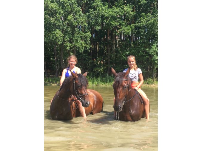 Prázdniny u koní 6. turnus - PŘÍMĚSTSKÝ TURNUS  10. - 14. SRPEN 2026