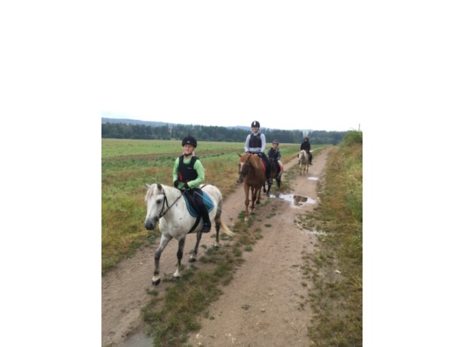 Prázdniny u koní 7. turnus SOUSTŘEDĚNÍ WORKING EQUITATION  10. SRPEN - 15. SRPEN 2025