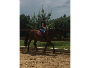 Prázdniny u koní 4. turnus  26. - 31. ČERVENEC 2026