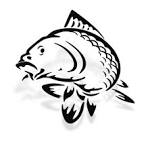 OldSchoolbaits