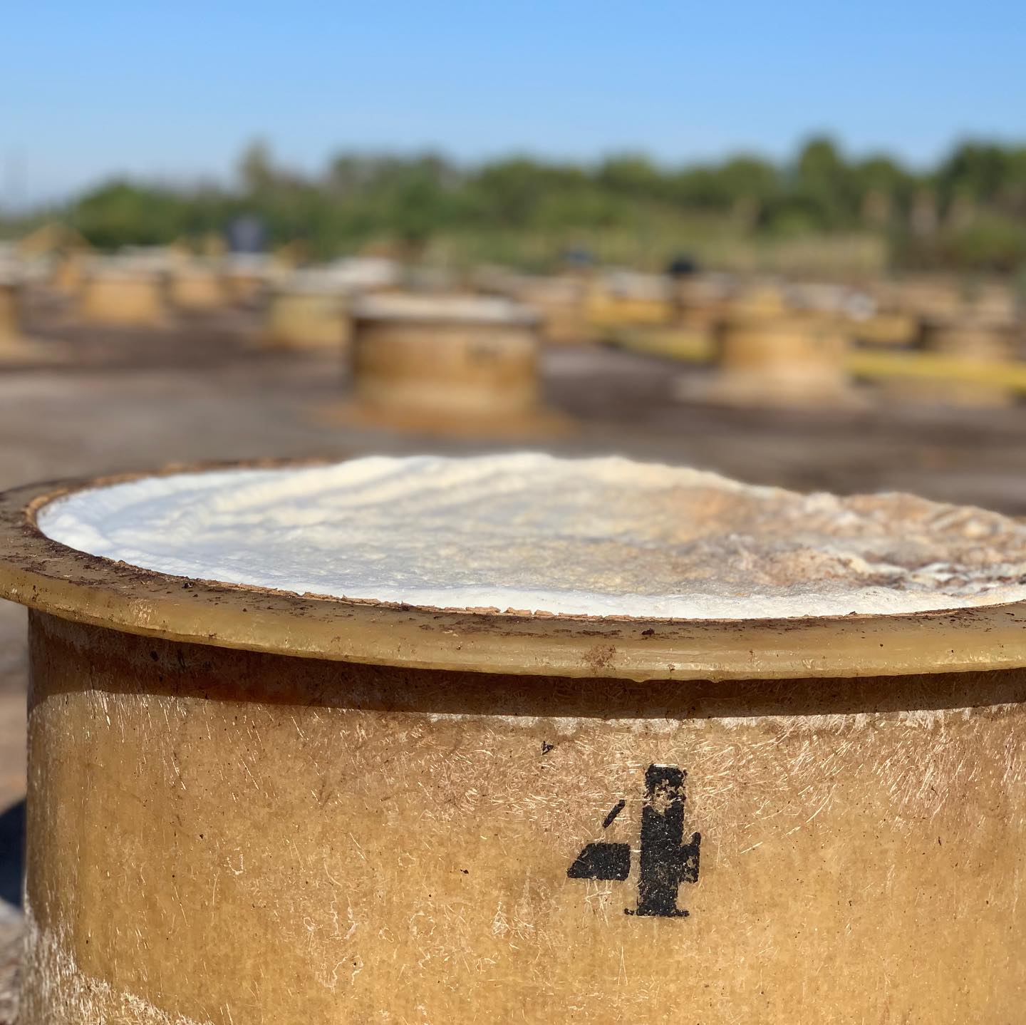 72465472_2654932151400955_96986408857632768_n