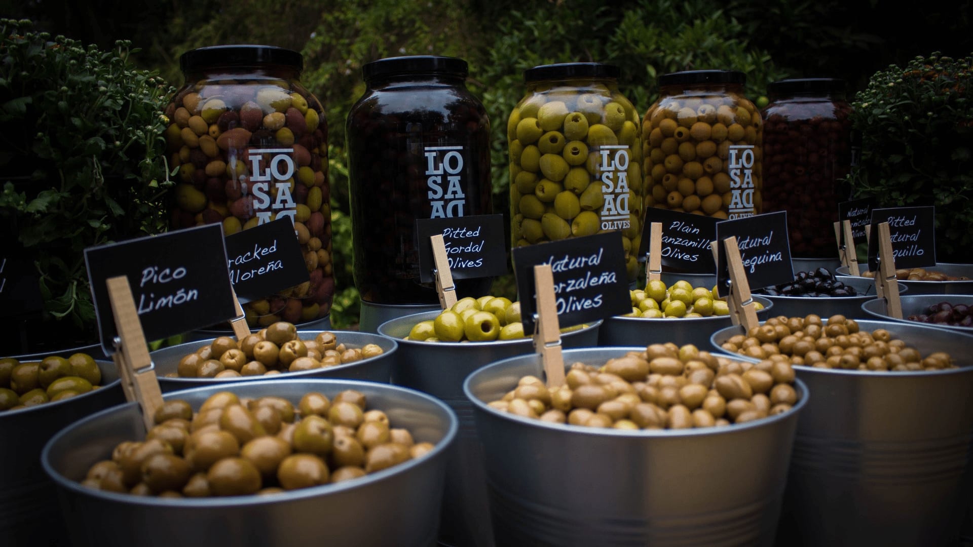 b_bs-10090_additional_1