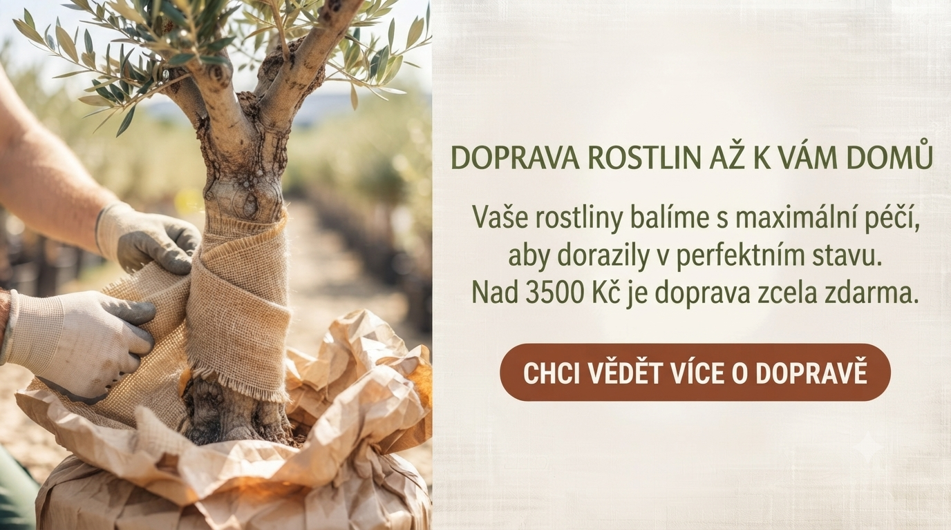 Doprava zdarma nad 3500 Kč