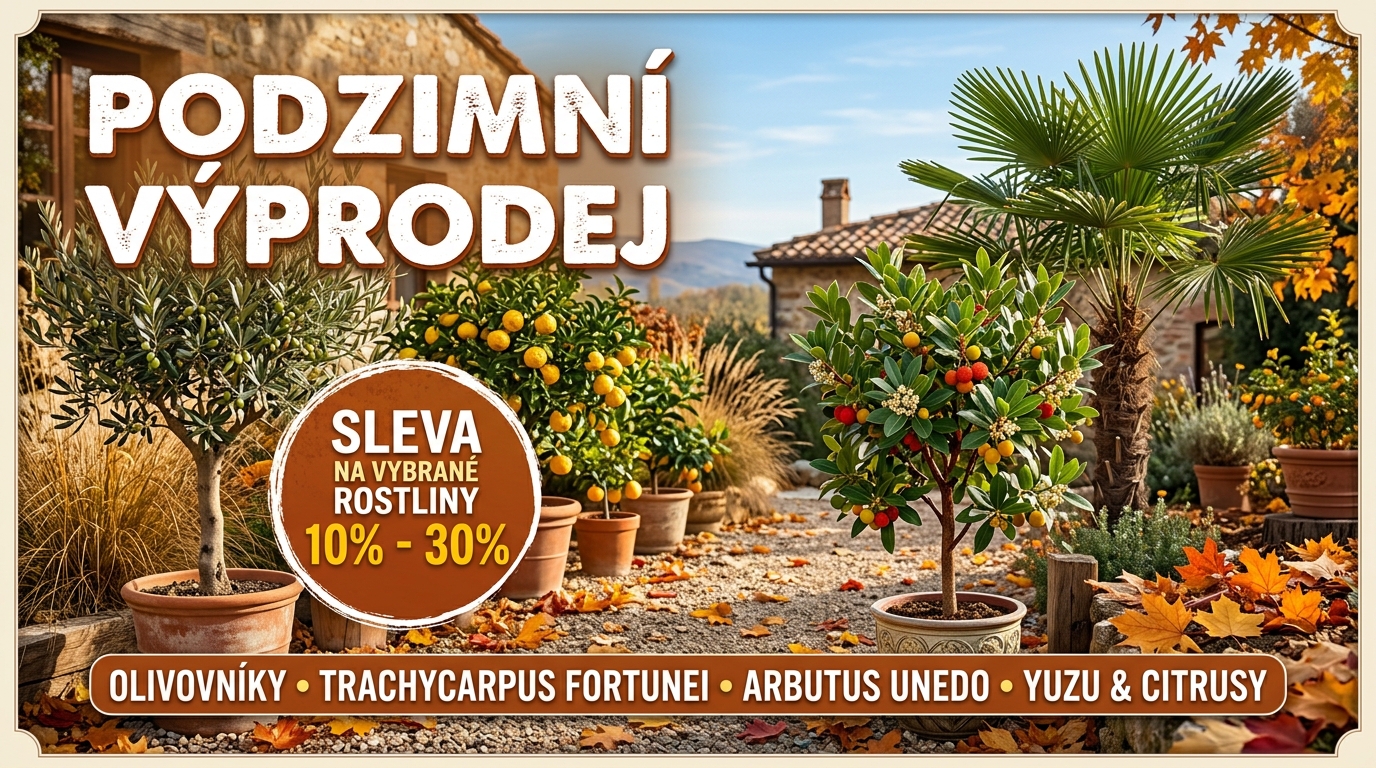 Podzimní výprodej