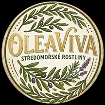 Oleaviva