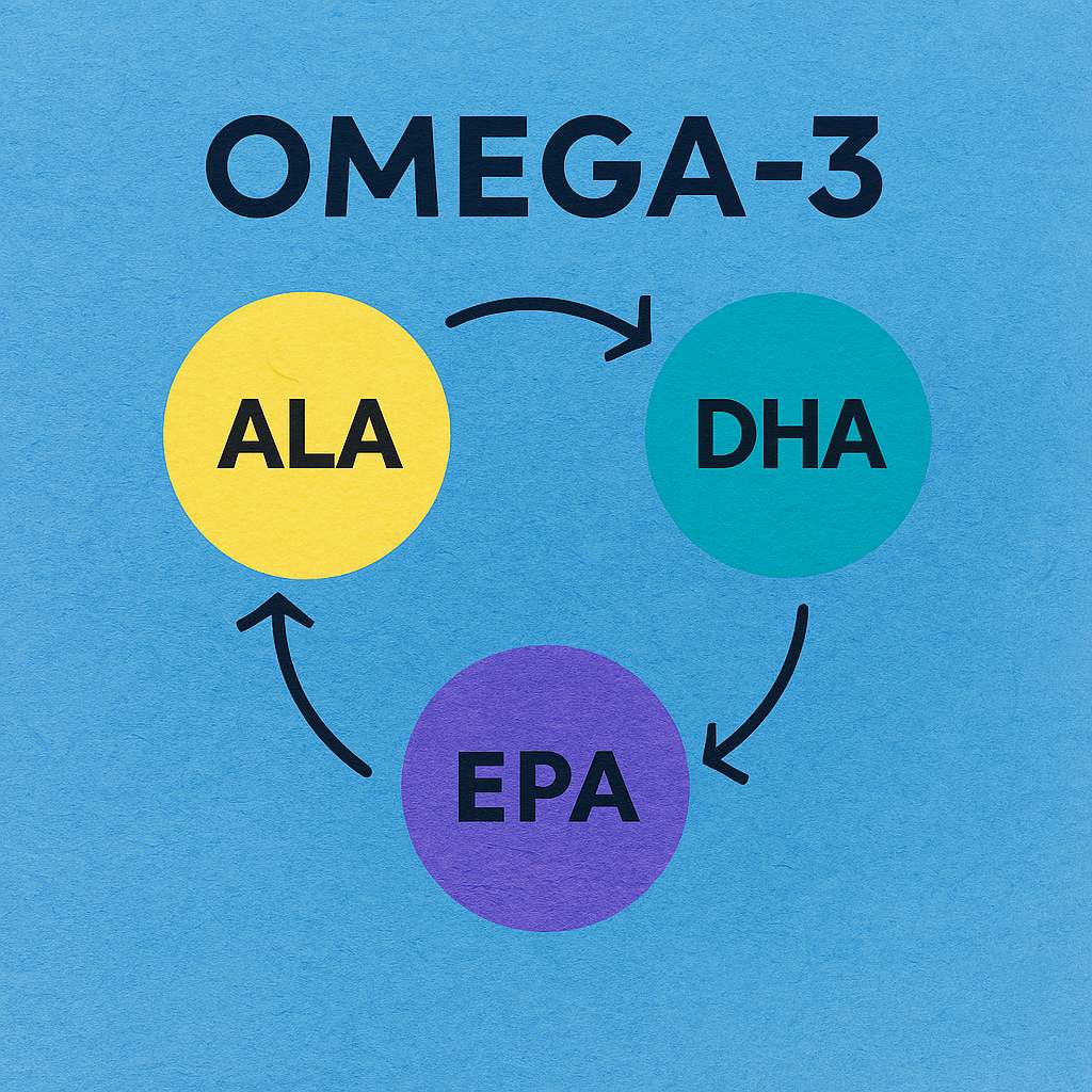 Omega 3 mastné kyseliny