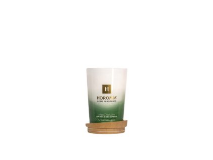 Vonná sviečka All'ombra degli aranci 350g