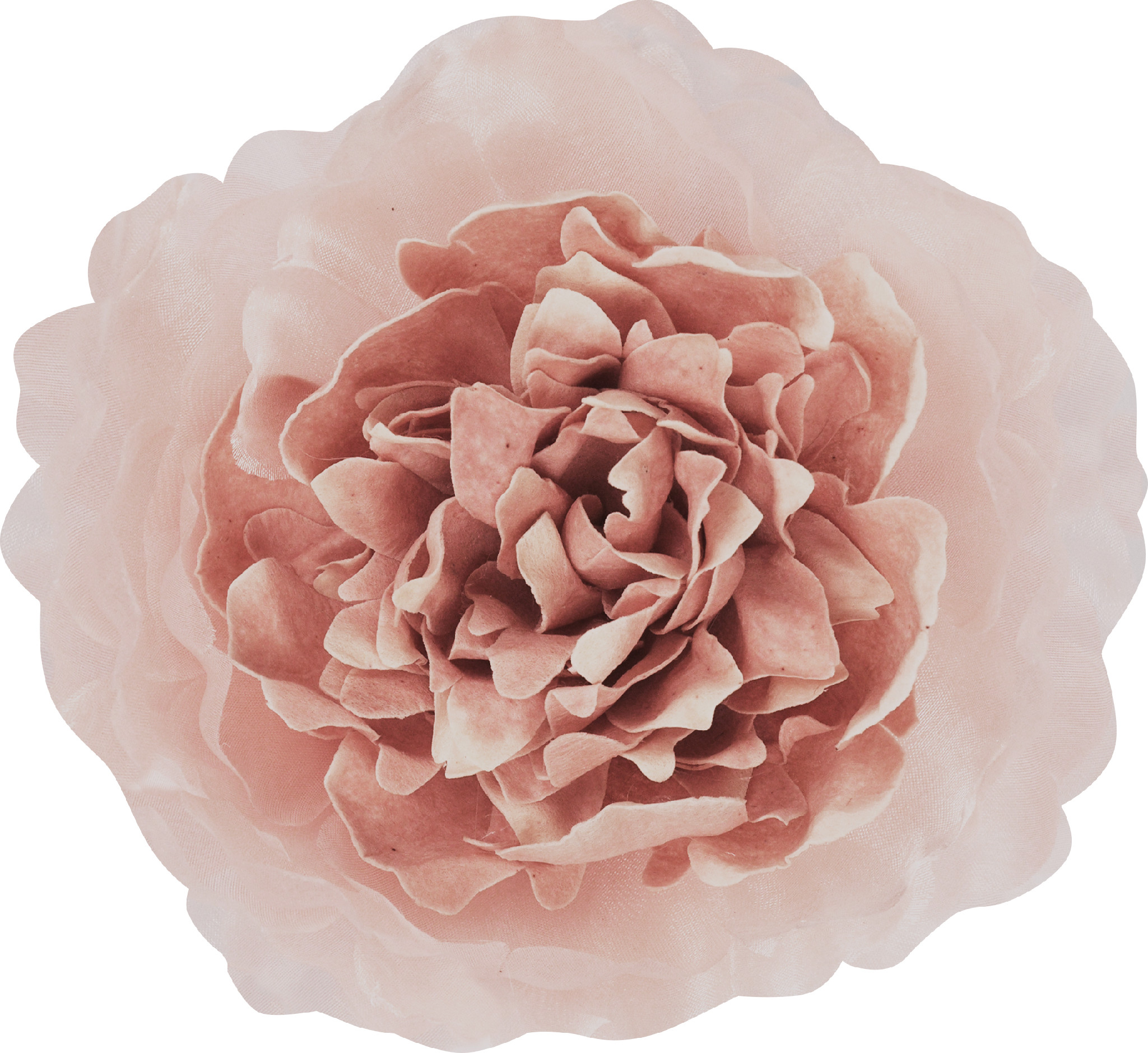 MAMI MILANO Náhradný Kvet - Camelia Fiorita Veľkosť kvetu: Veľký (Ø 12cm)