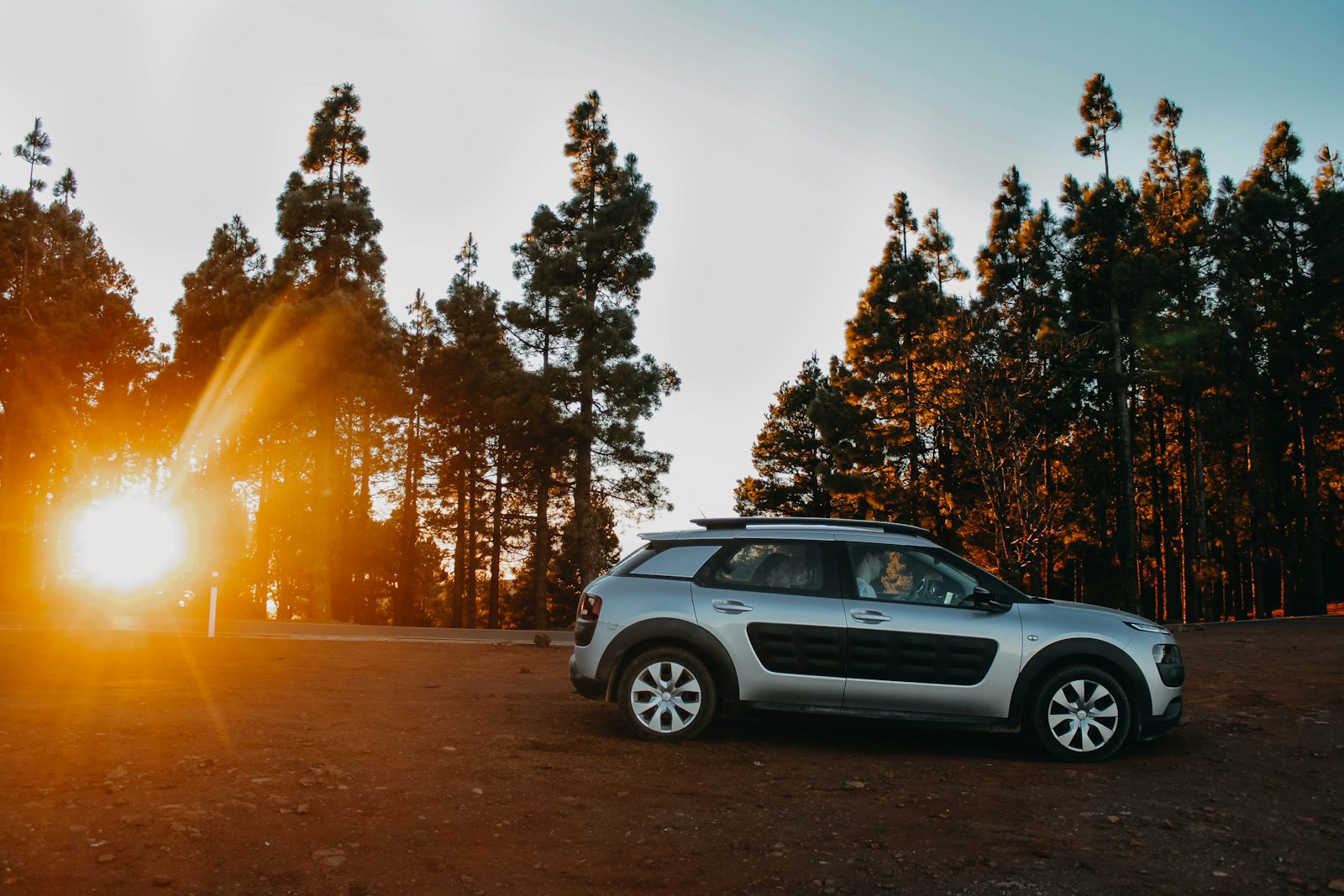 Citroën C4 Cactus zaparkovaný v lese při západu slunce