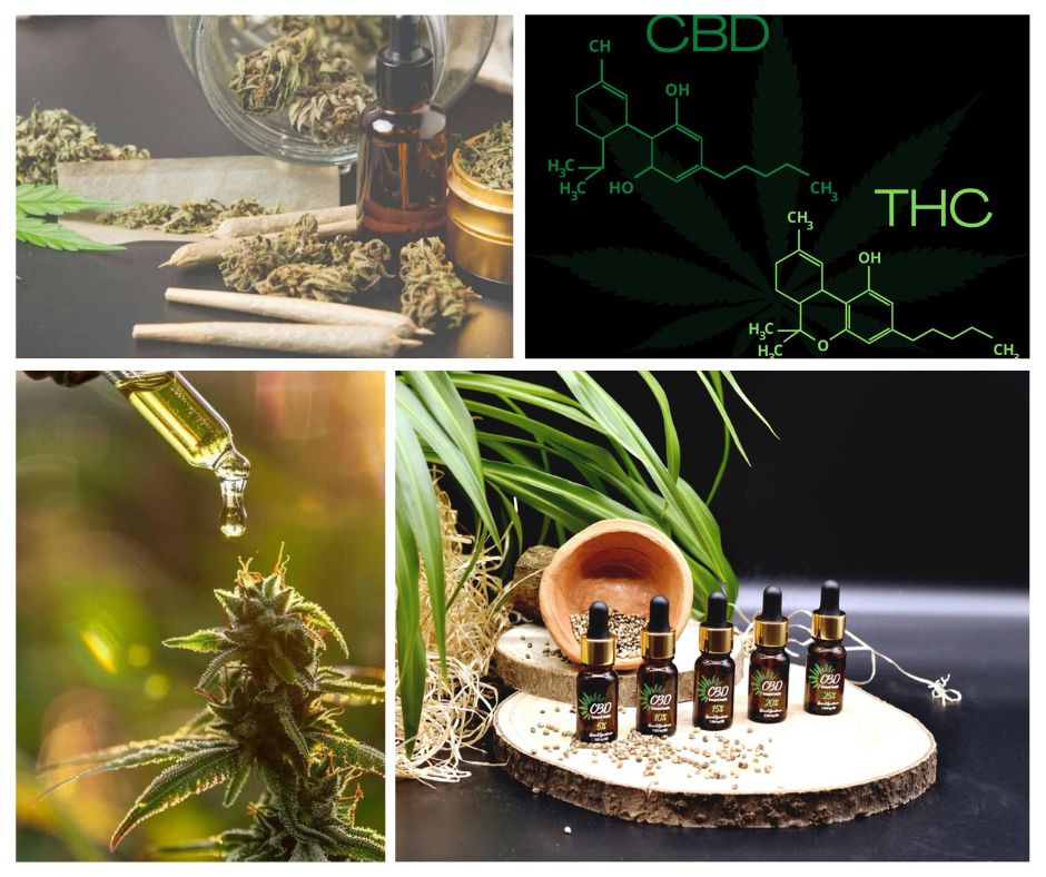 CBD: Prírodný poklad z konope