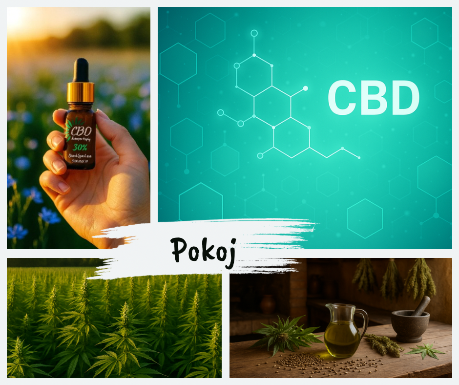 CBD pre ľudí – ako príroda pomáha v hektickom svete