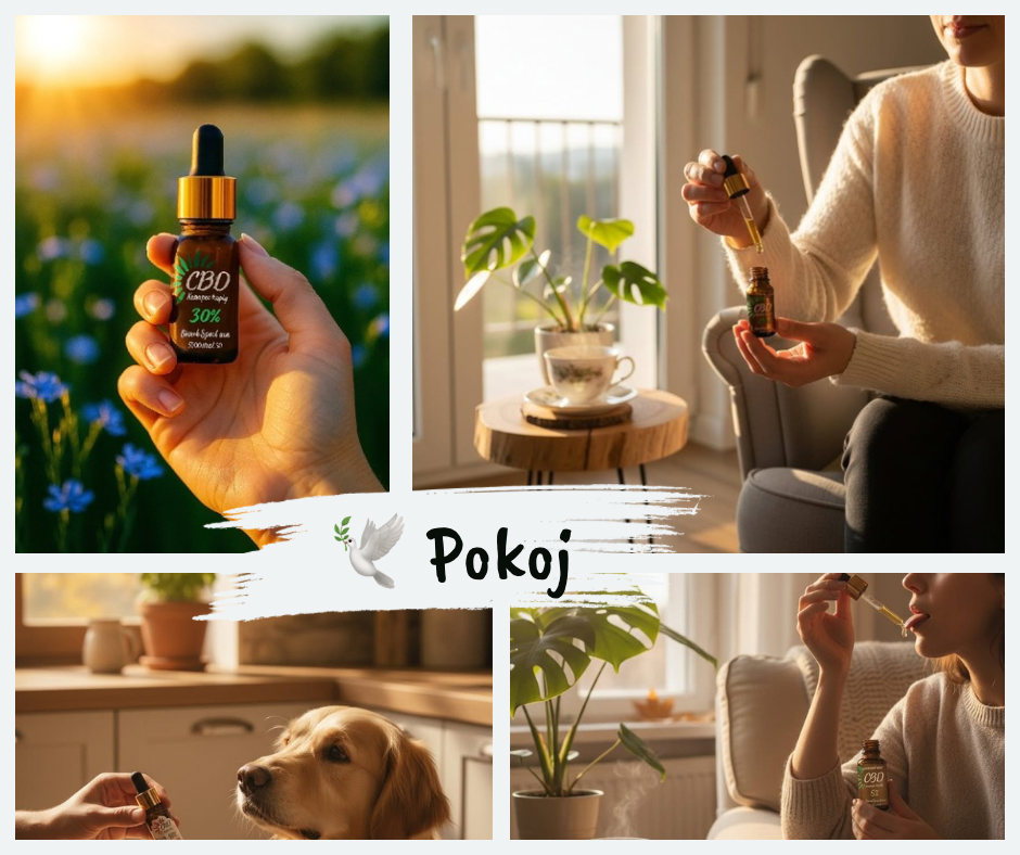 CBD a spánok: keď telo konečne vypne