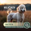Multivitamín pre psov