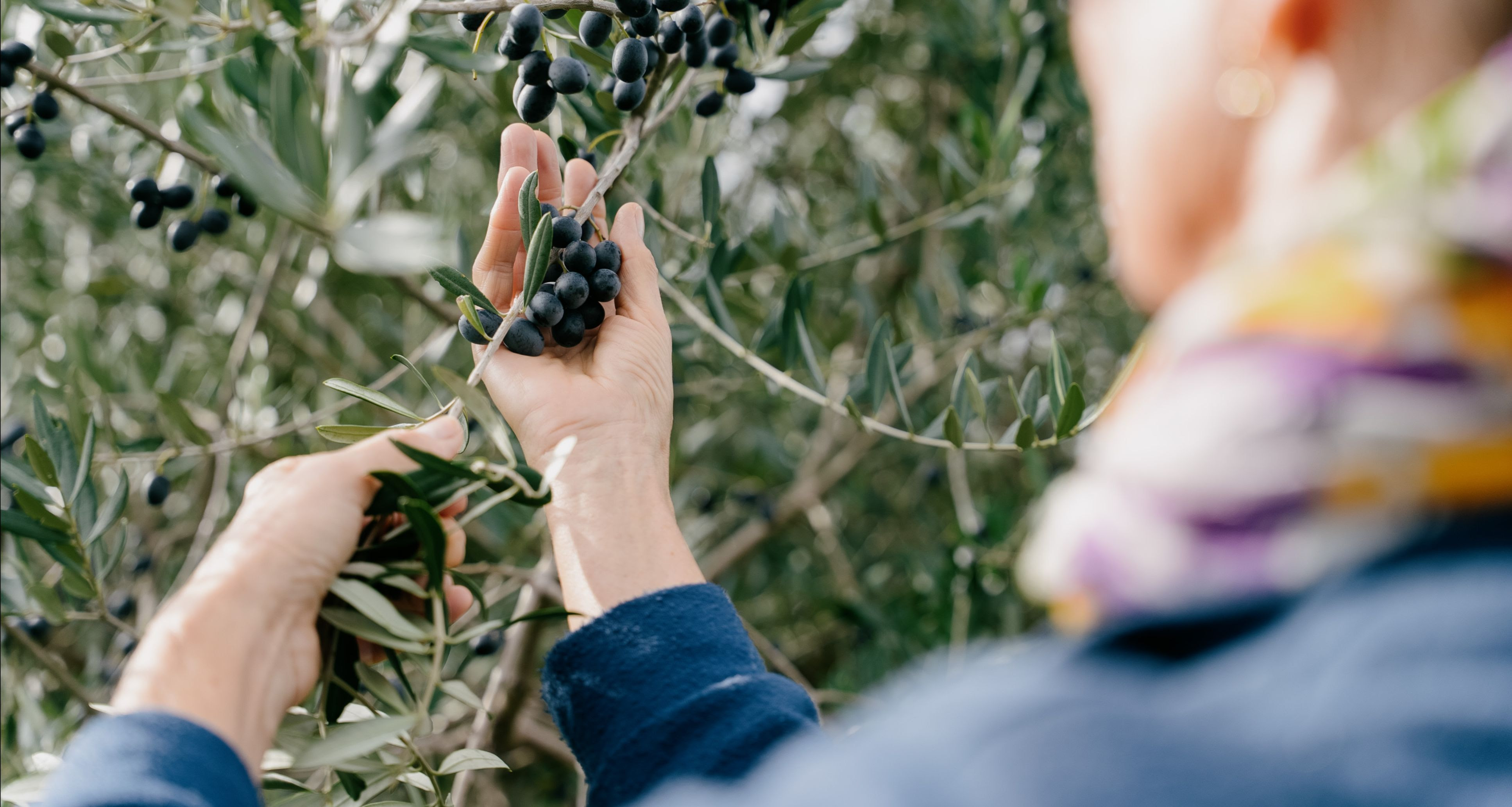 Rodinná farma DonLope