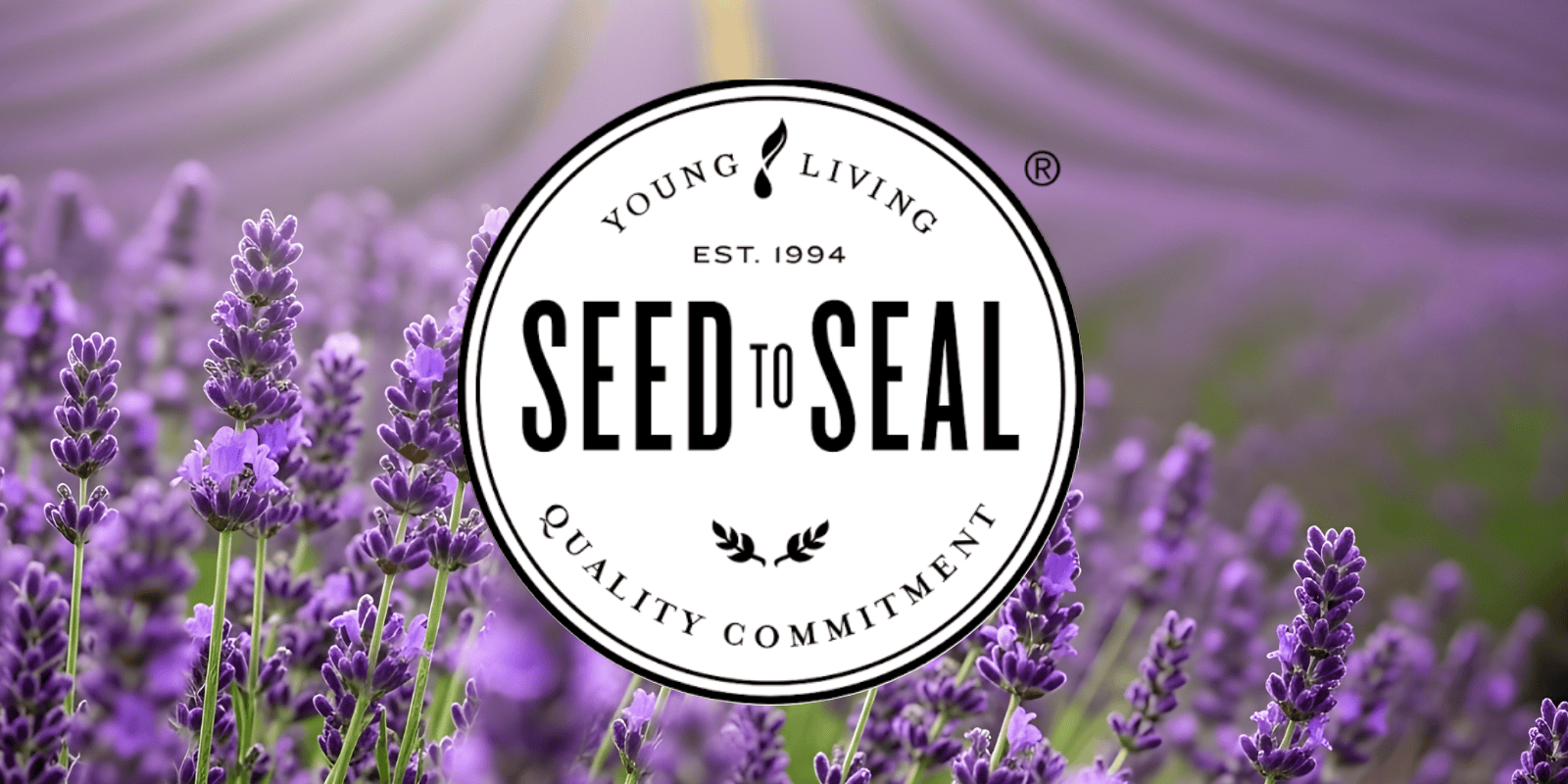 Kvalita olejů Young Living