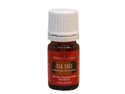 tea tree