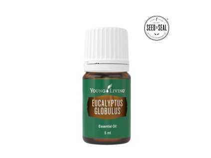 eukalyptus globulus 5ml