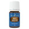 White Angelica 5 ml