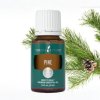 Borovice (Pine) 15 ml