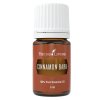 Skořicová kůra (Cinnamon Bark) 5 ml