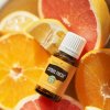 Citrus Fresh 15 ml