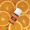 Pomeranč (Orange) 5 ml