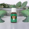 Eukalyptus Radiata 15 ml